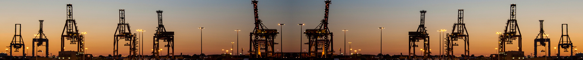 Arabian Lights